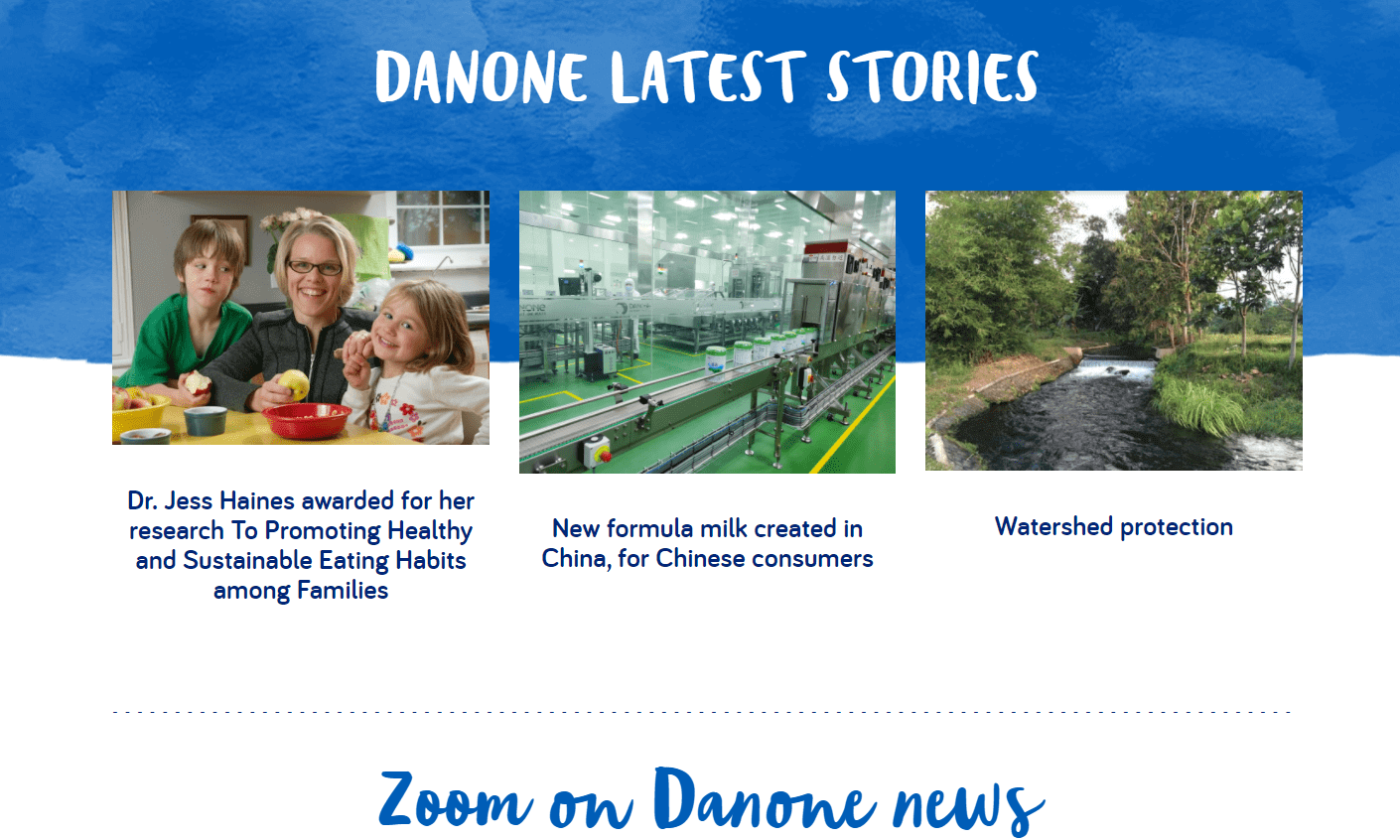Read more about the article Cognitive Aspects in Danone’s Website User Interface